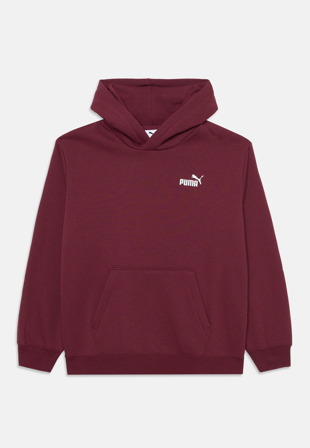 Puma SMALL LOGO RELAXED HOODIE