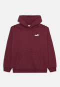 Puma SMALL LOGO RELAXED HOODIE