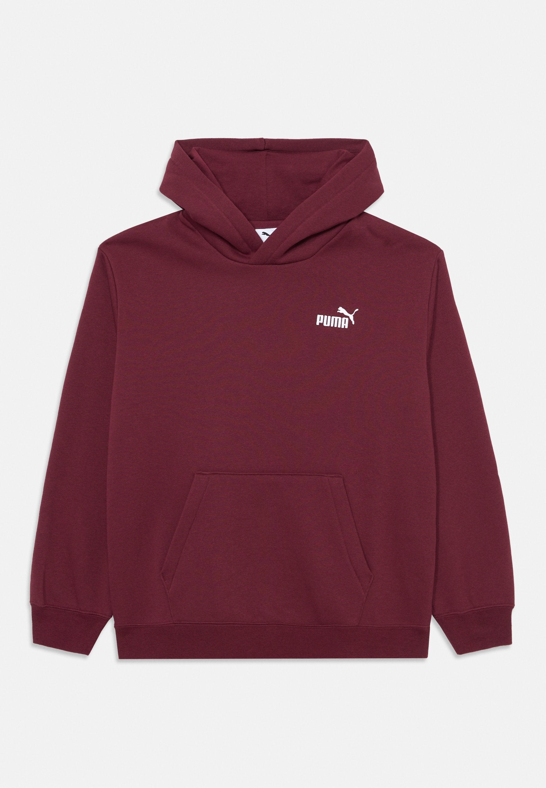 Puma SMALL LOGO RELAXED HOODIE