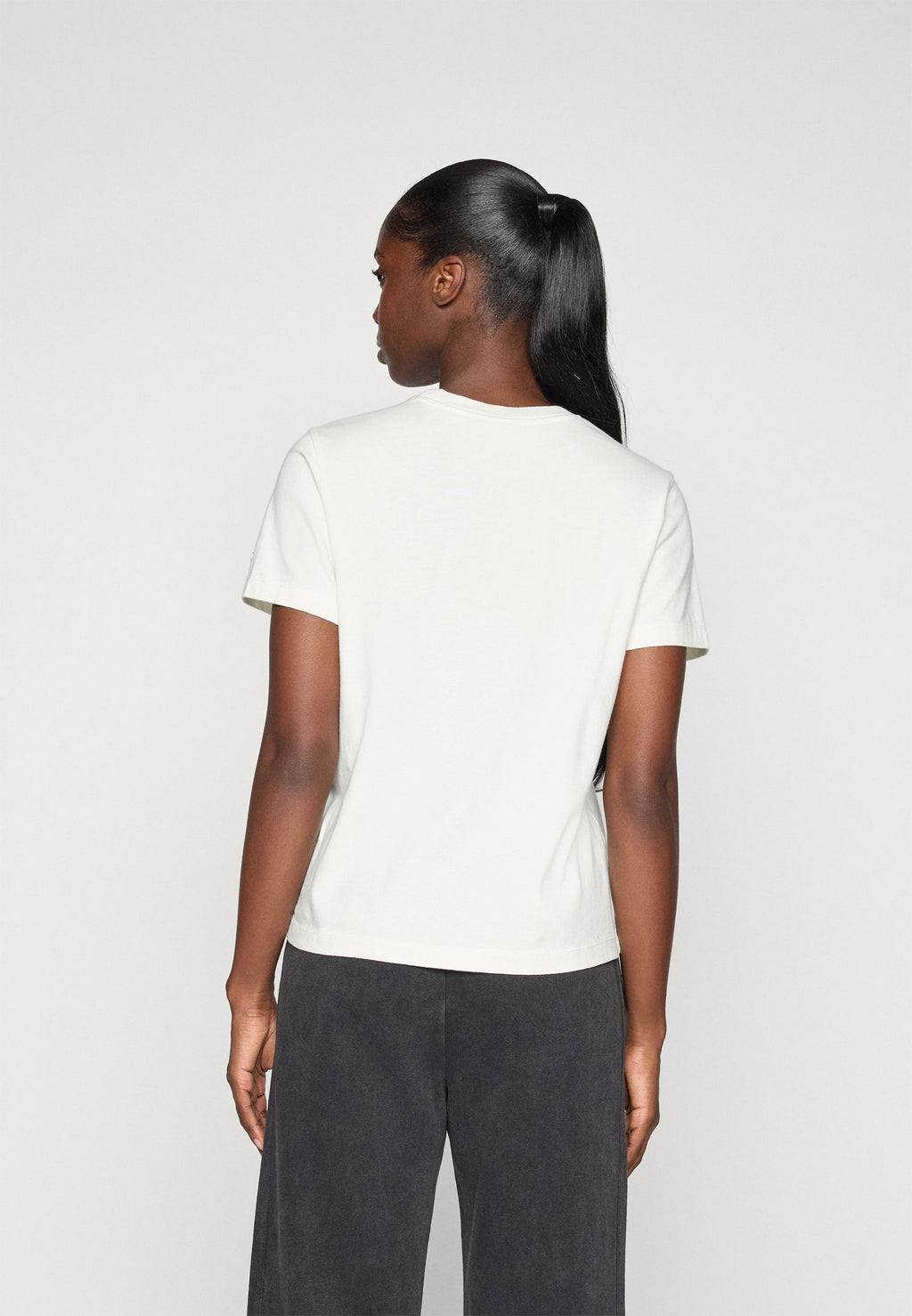 Champion ICONS WASH CREWNECK