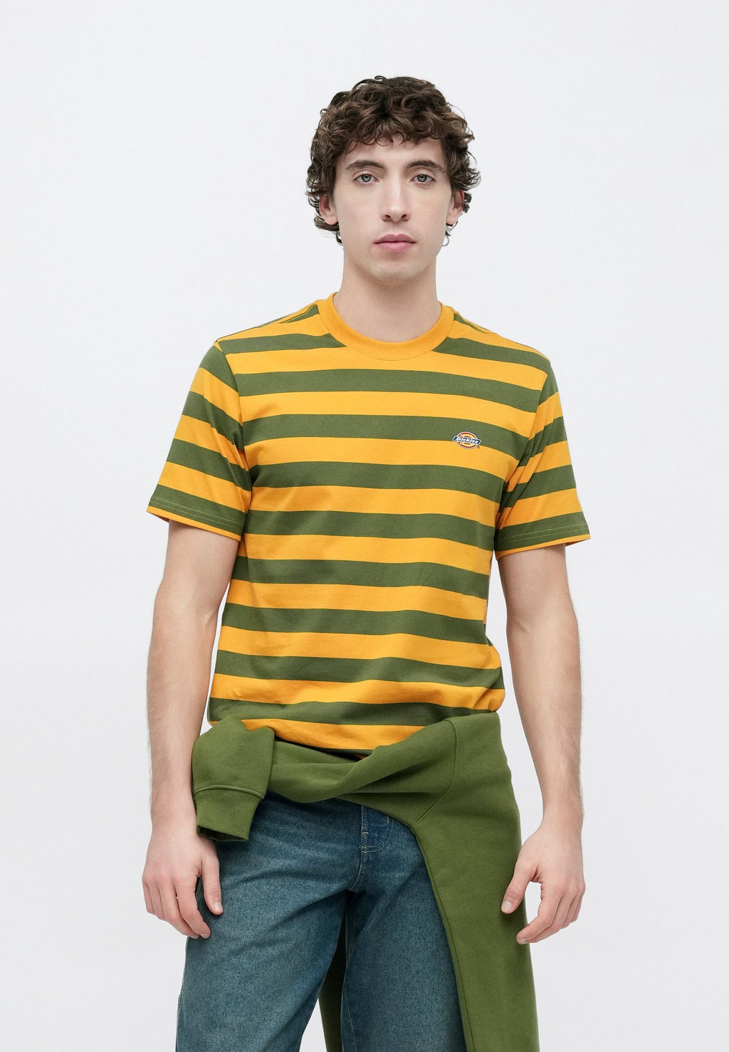 Dickies RIVERGROVE TEE
