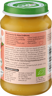 Früchte Mango in Apfel, ab dem 5. Monat dmBio