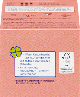 Früchtetee Türkischer Apfel (20 Beutel) dmBio