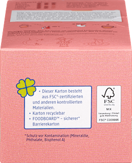 Früchtetee Türkischer Apfel (20 Beutel) dmBio