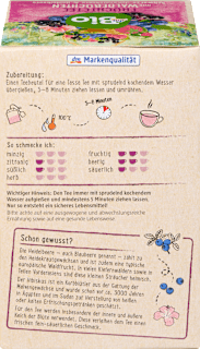 Früchtetee Waldfrucht mit schwarzer Johannisbeere & Heidelbeere (20 Beutel) dmBio