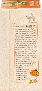 Gewürztee Pumpkin Chai (20 Beutel) dmBio