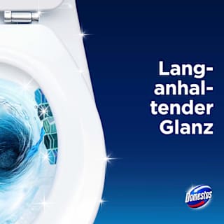 WC-Stein Blauspüler Ocean Domestos