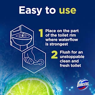 WC-Stein Limette  Domestos