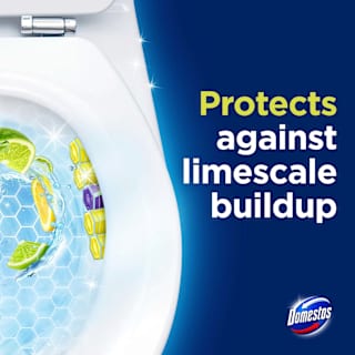 WC-Stein Limette  Domestos