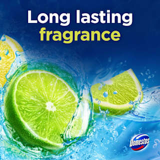 WC-Stein Limette  Domestos
