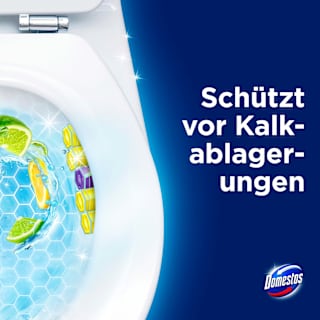 WC-Stein Limette  Domestos