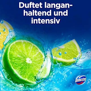 WC-Stein Limette  Domestos