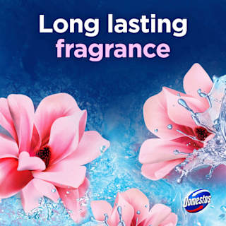 WC-Stein Pink Magnolie Domestos