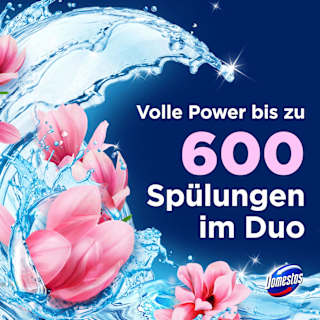 WC-Stein Pink Magnolie Domestos