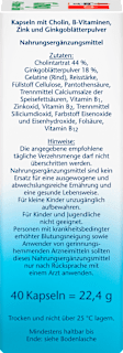 Ginkgo + B-Vitamine + Cholin Kapseln 40 St Doppelherz