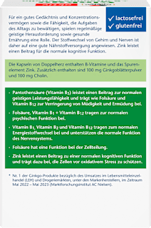 Ginkgo + B-Vitamine + Cholin Kapseln 40 St Doppelherz