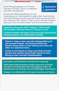 Glucosamin 1600 Kapseln 100 St Doppelherz