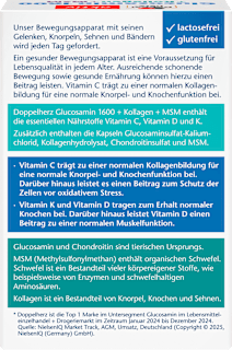 Glucosamin 1600 Kollagen MSM Vitamin C Kapseln 40 St Doppelherz