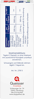 Omega-3 1000 Kapseln 60 St Doppelherz