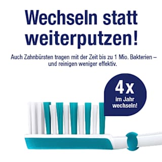 Zahnbürste Kinder Paw Patrol, bis 7 Jahren  Vorteilspack (2+1 Gratis) Dr. BEST
