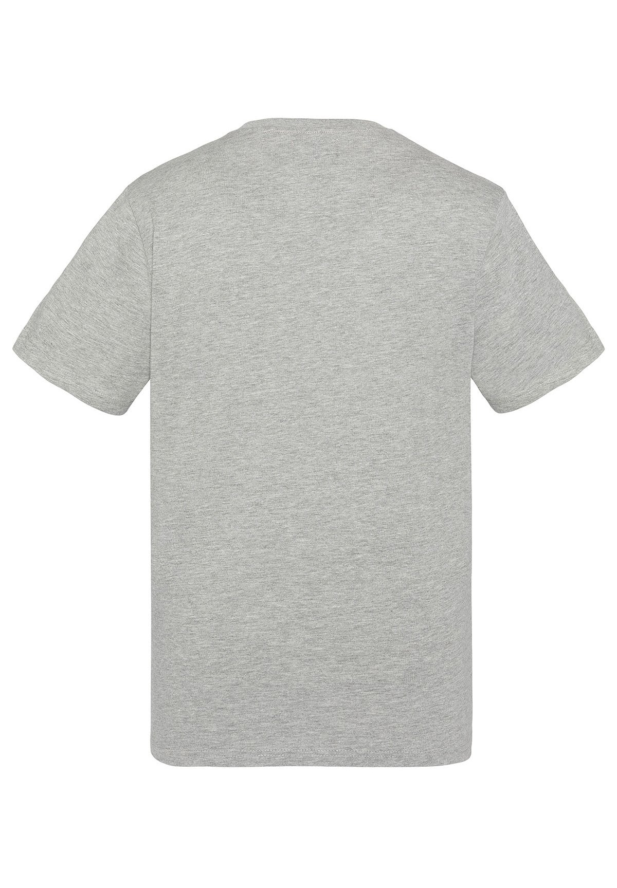 Schott TEE