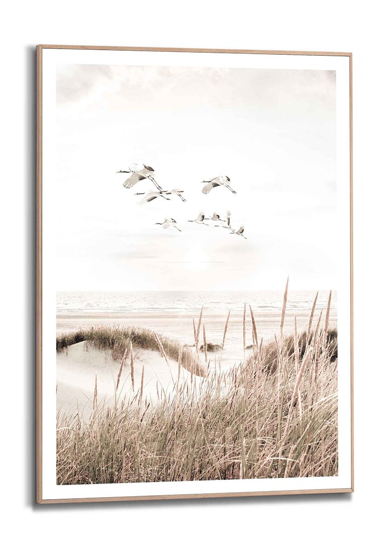 Orange Wallz BEACH BIRDS