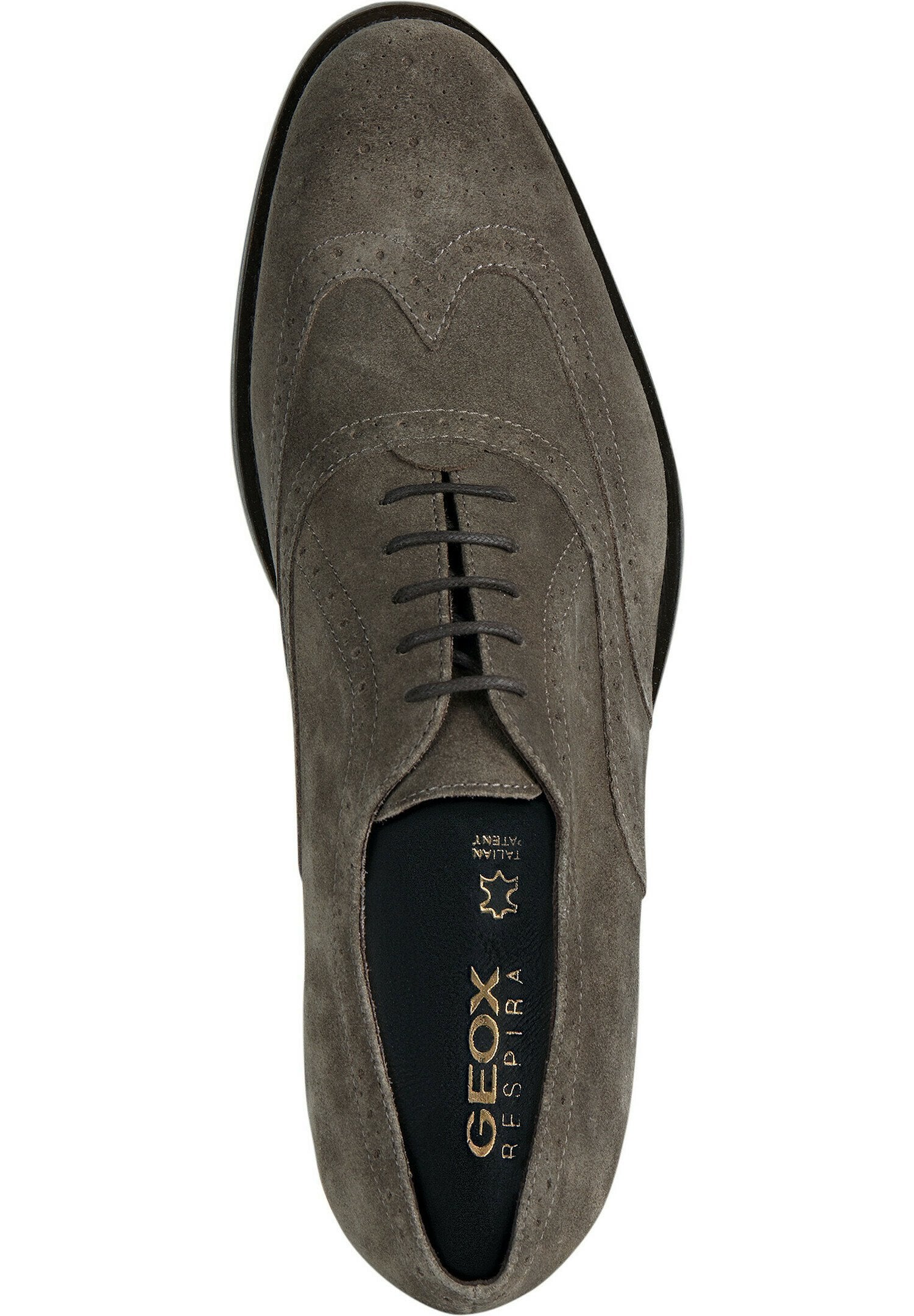Geox U HAMPSTEAD