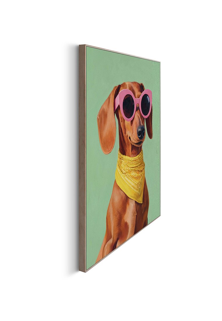 Orange Wallz DACHSHUND