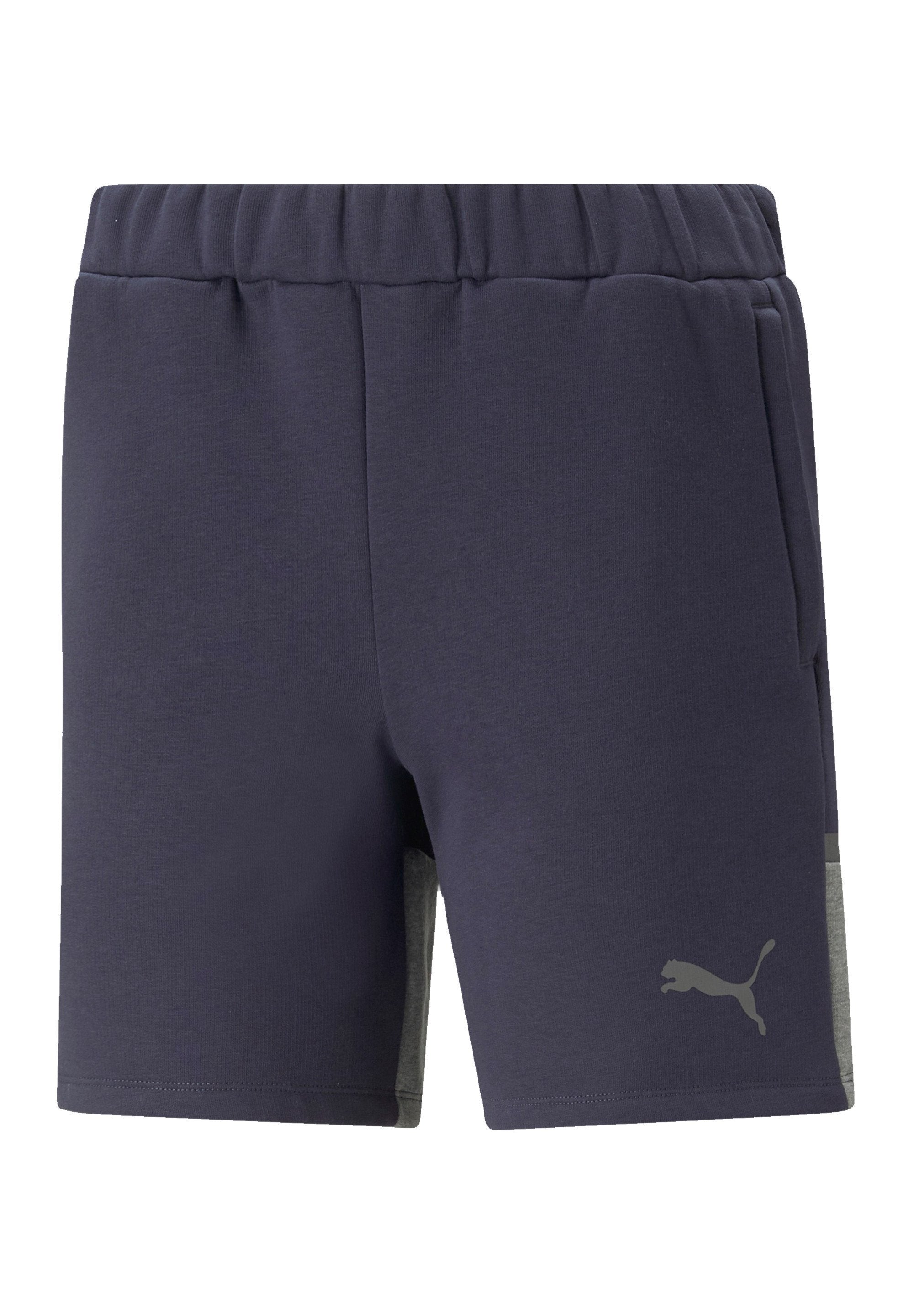 Puma FUSSBALL TEAMSPORT TEAMCUP D