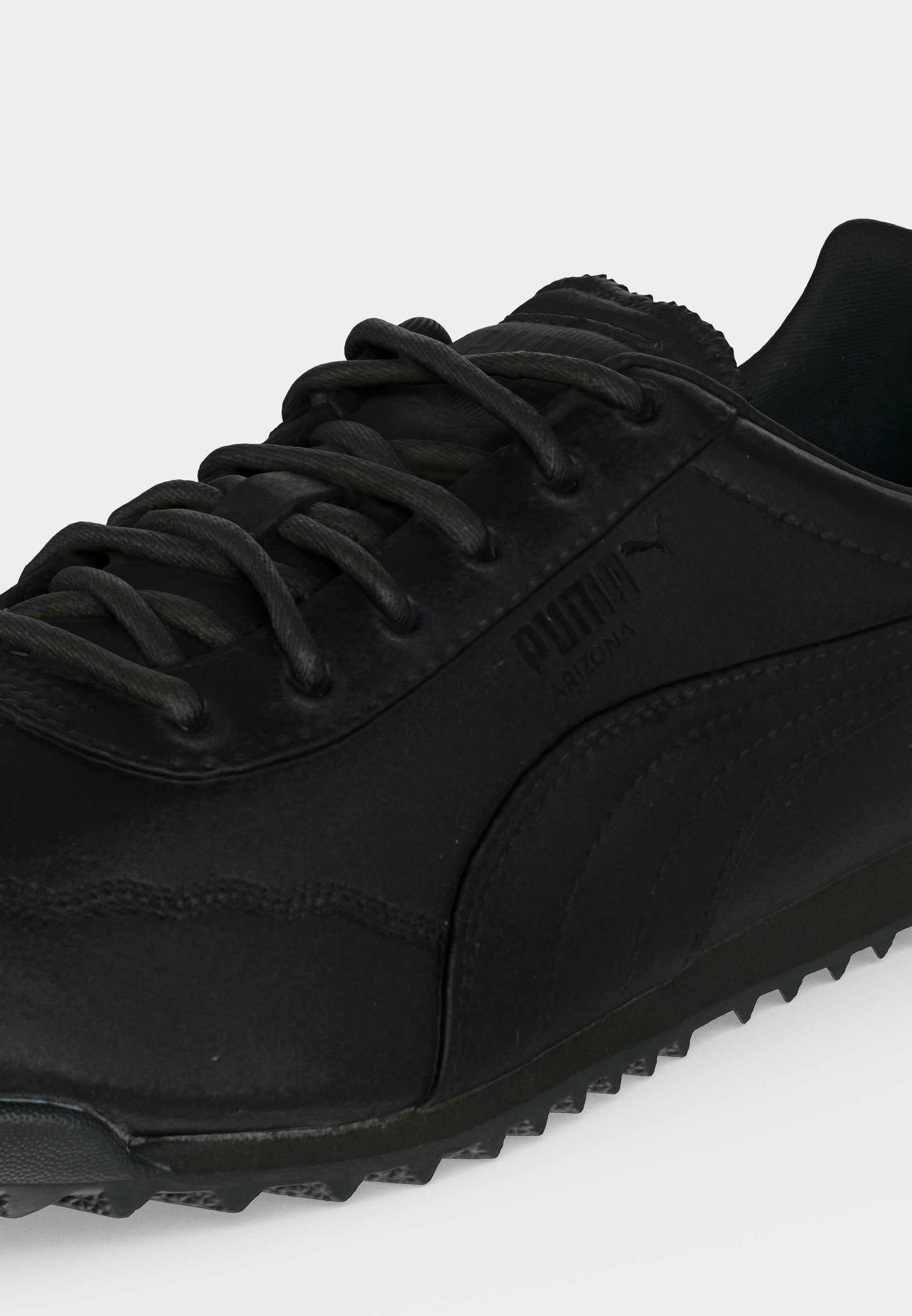 Puma ARIZONA