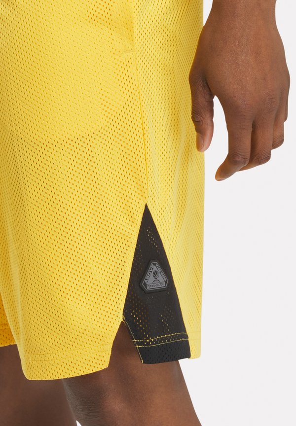 Reebok Classic HOOPWEAR