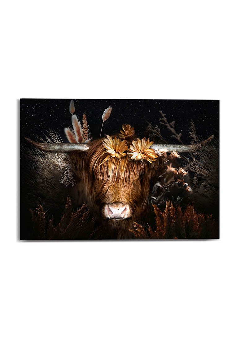 Orange Wallz DARK HIGHLANDER