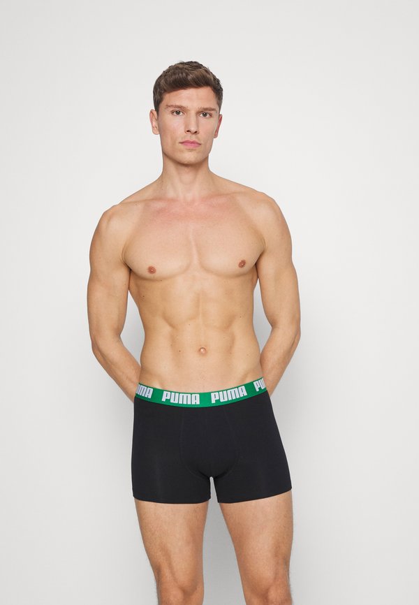 Puma BASIC 2 PACK - Trunks - columbia green