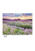 Orange Wallz SUNSET LAVENDER FIELD