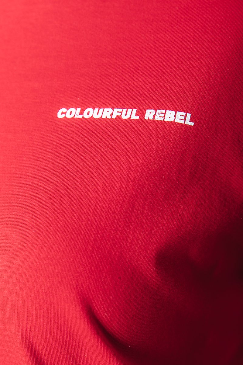 Colourful Rebel REBEL LONG SLEEVE TEE