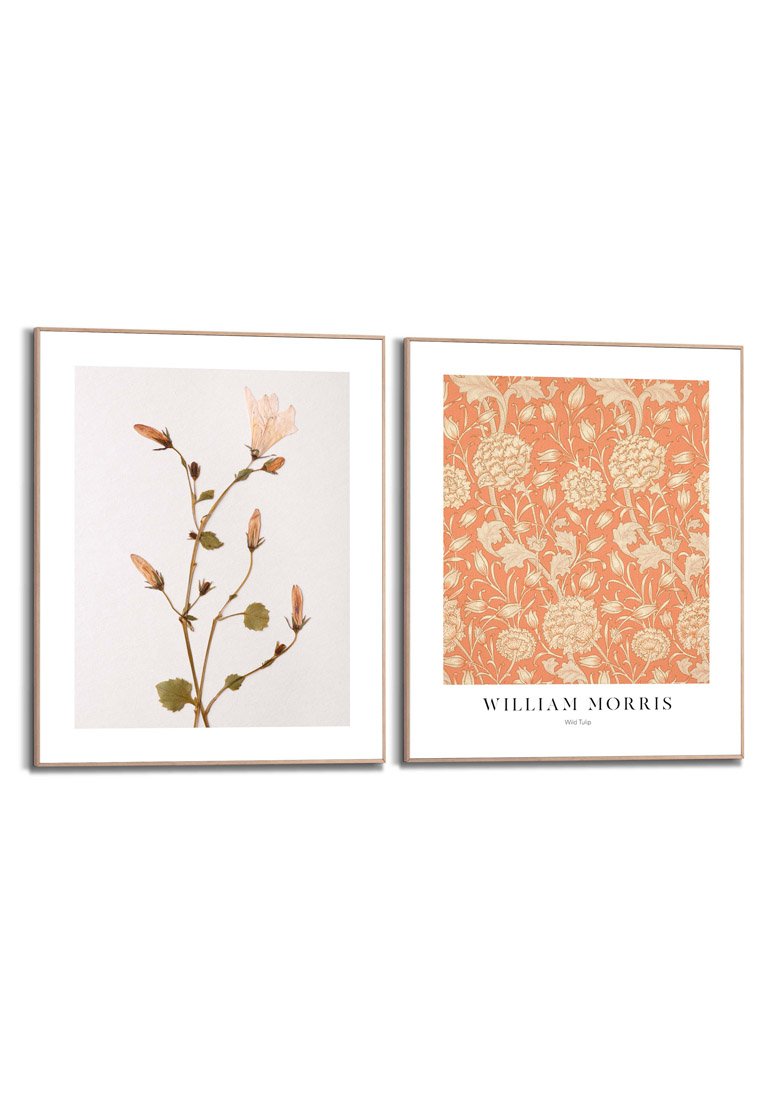Orange Wallz WILLIAM MORRIS TULIP SET