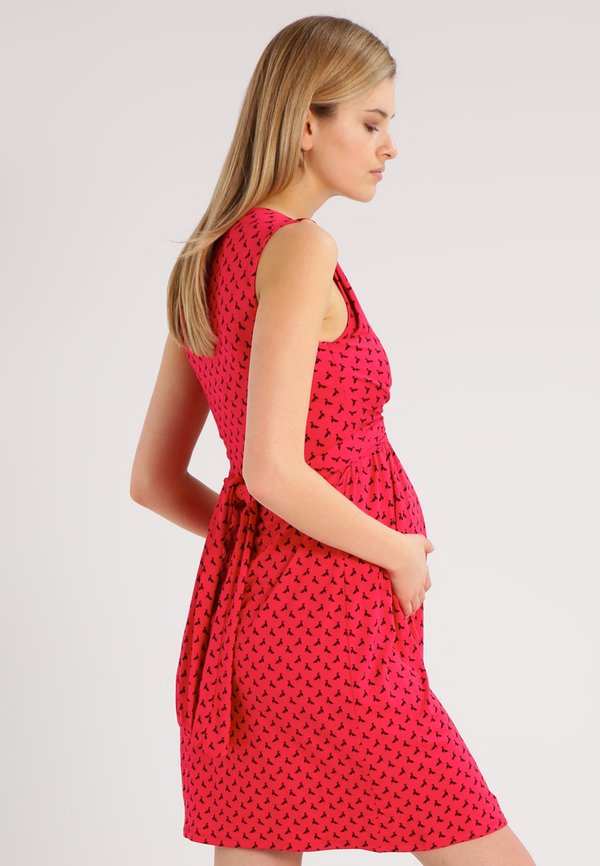 Envie de Fraise AMAYA
