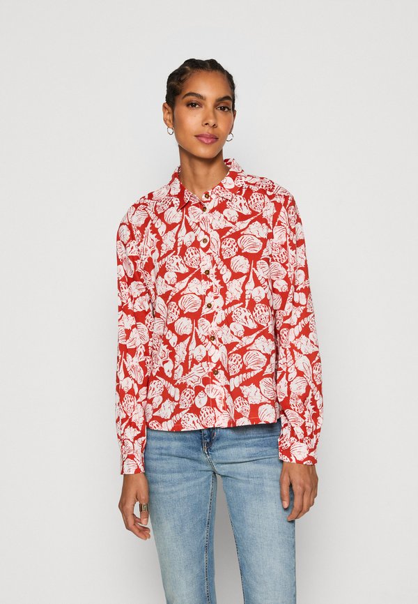 Scotch & Soda