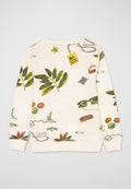 Scotch & Soda