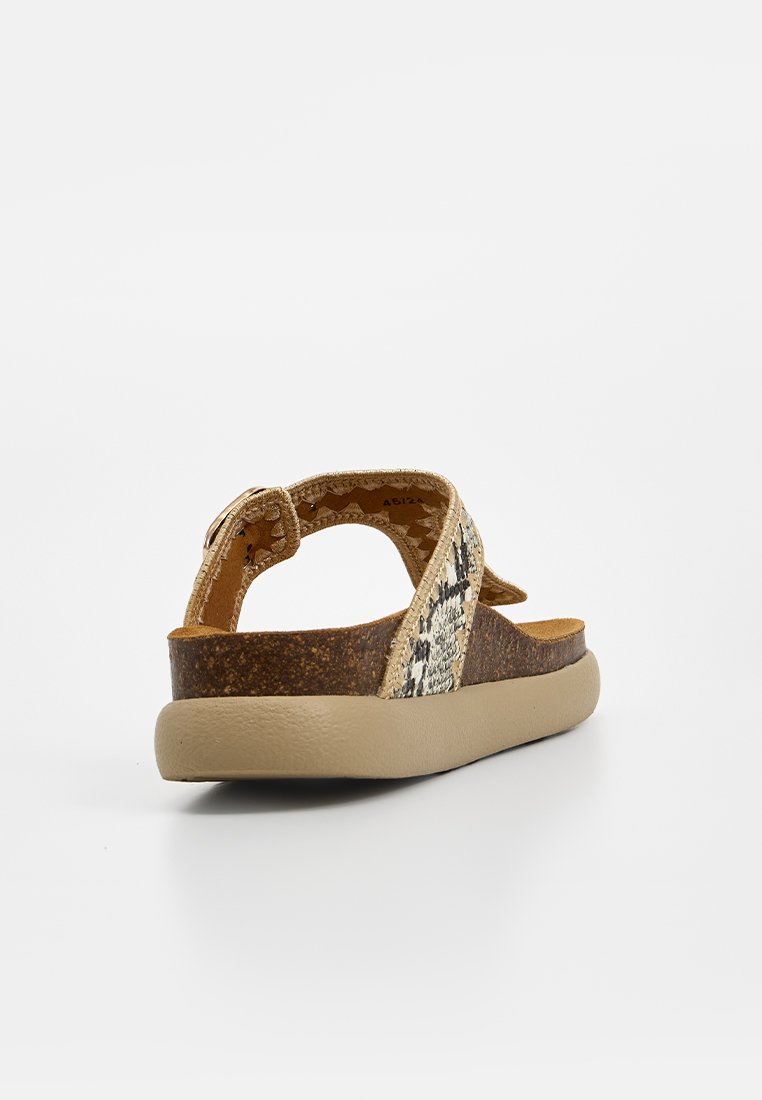 Scholl ANAIS