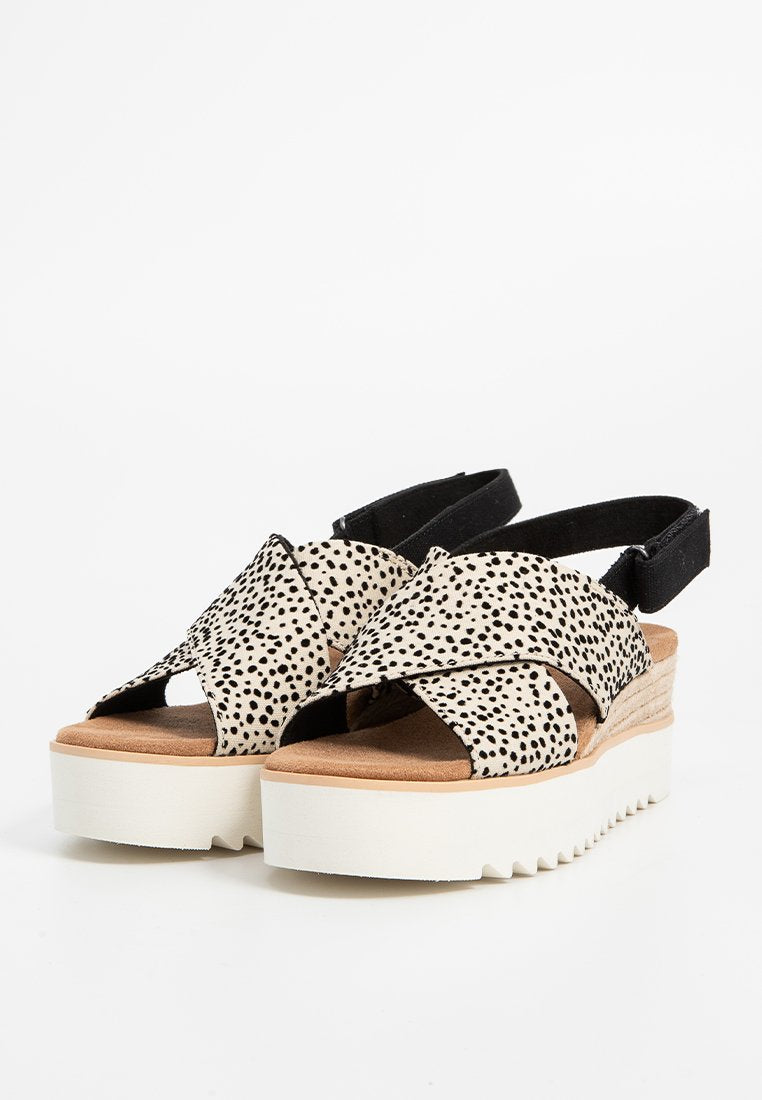 TOMS FOG
