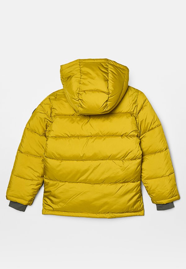 U.S. Polo Assn. LIEF