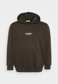 Jack & Jones JJESOHO SWEAT HOOD NOOS PLS - Hoodie - delicioso
