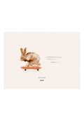 Paper Collective ROCKY THE RABBIT