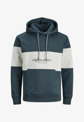 Jack & Jones JORLAKEWOOD HOOD - Hoodie - magical forest