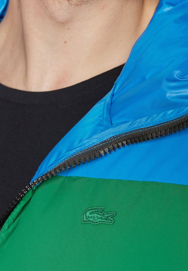 Lacoste PLUS
