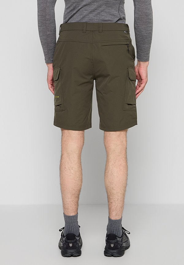 Icepeak BRASWELL