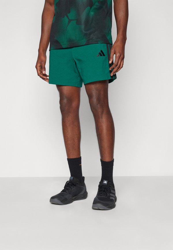 adidas Sportswear Sports shorts - collegiate green/black