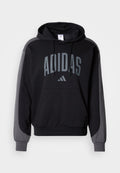 adidas Sportswear COLLEGIATE FLEECE