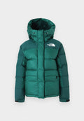 Grüne gepolsterte Winterjacke mit Kapuze, Klettverschluss-Handgelenkriemen, Fronttaschen und dem The North Face-Logo auf der Brust.